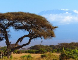 PINCELADAS DE KENYA Y TANZANIA (+ Noche en Nairobi al final)